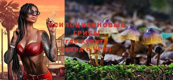spice Богданович