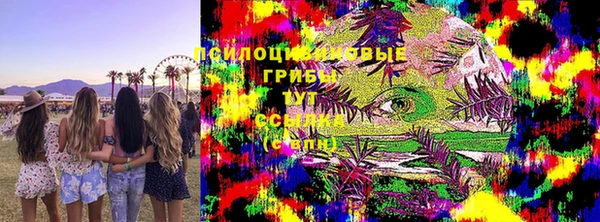 каннабис Белокуриха