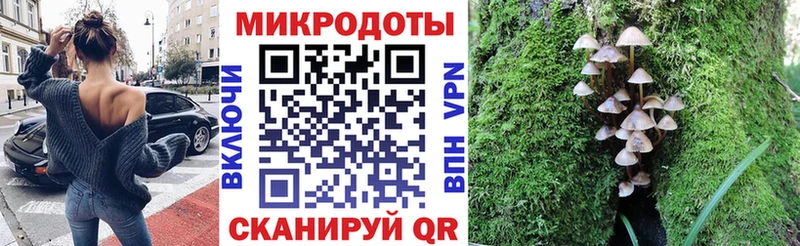 Псилоцибиновые грибы GOLDEN TEACHER  Купить где  Анива 