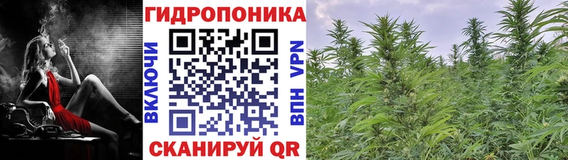Купить где  Анива  МАРИХУАНА план 